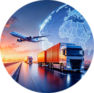 Logistics software development